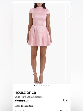 Saida Flare Satin Mini Dress